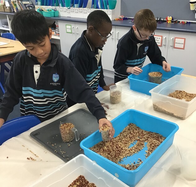 3C Maths Measurement capacity