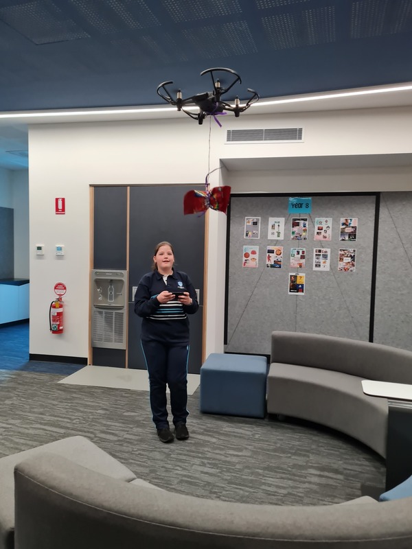 drone 2.jpg