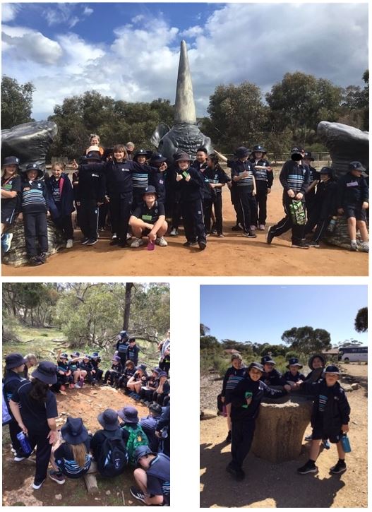 Year 3 Monarto Zoo 1.JPG